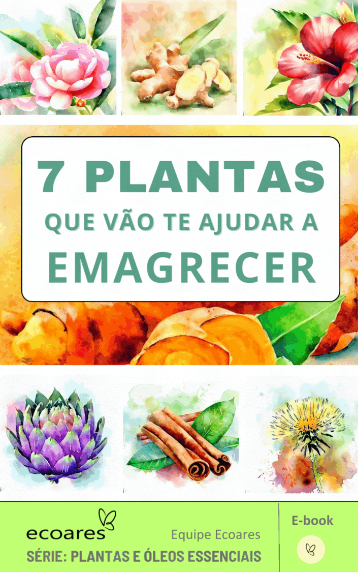 7 plantas (1) Emagrecer