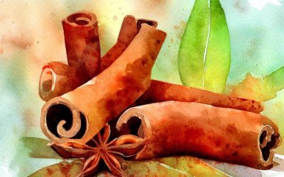 7 Plantas que Vão Te Ajudar a Emagrecer